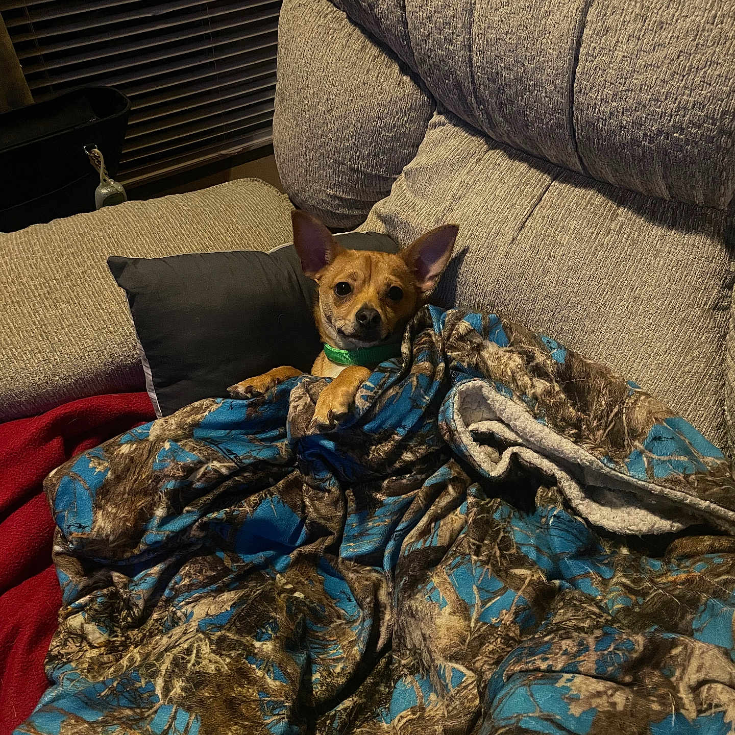 Max