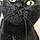 Salem