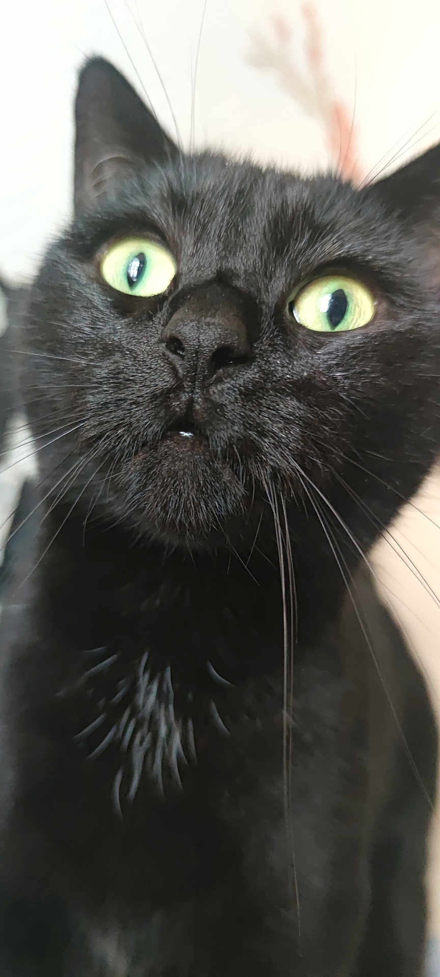 Salem