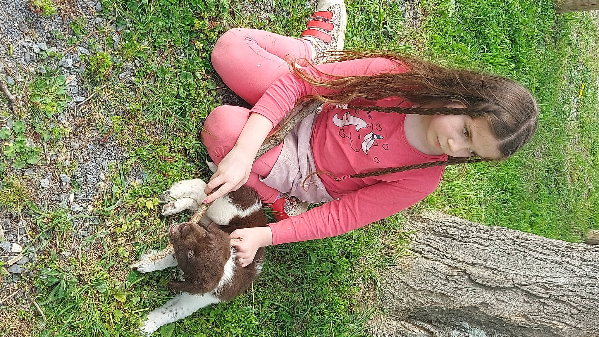 Lorine participe au concours pour gagner de l'argent avec cette photo : carnivore, cat, companion_dog, dog_breed, dress, fawn, felidae, grass, grass_family, happy, human_leg, knee, leisure, mammal, people_in_nature, person, plant, sitting, small_to_medium_sized_cats, thigh