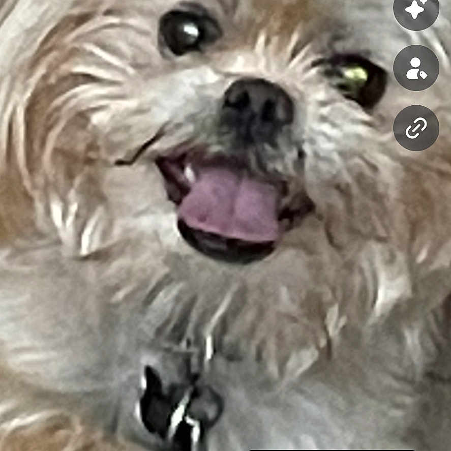 Buster