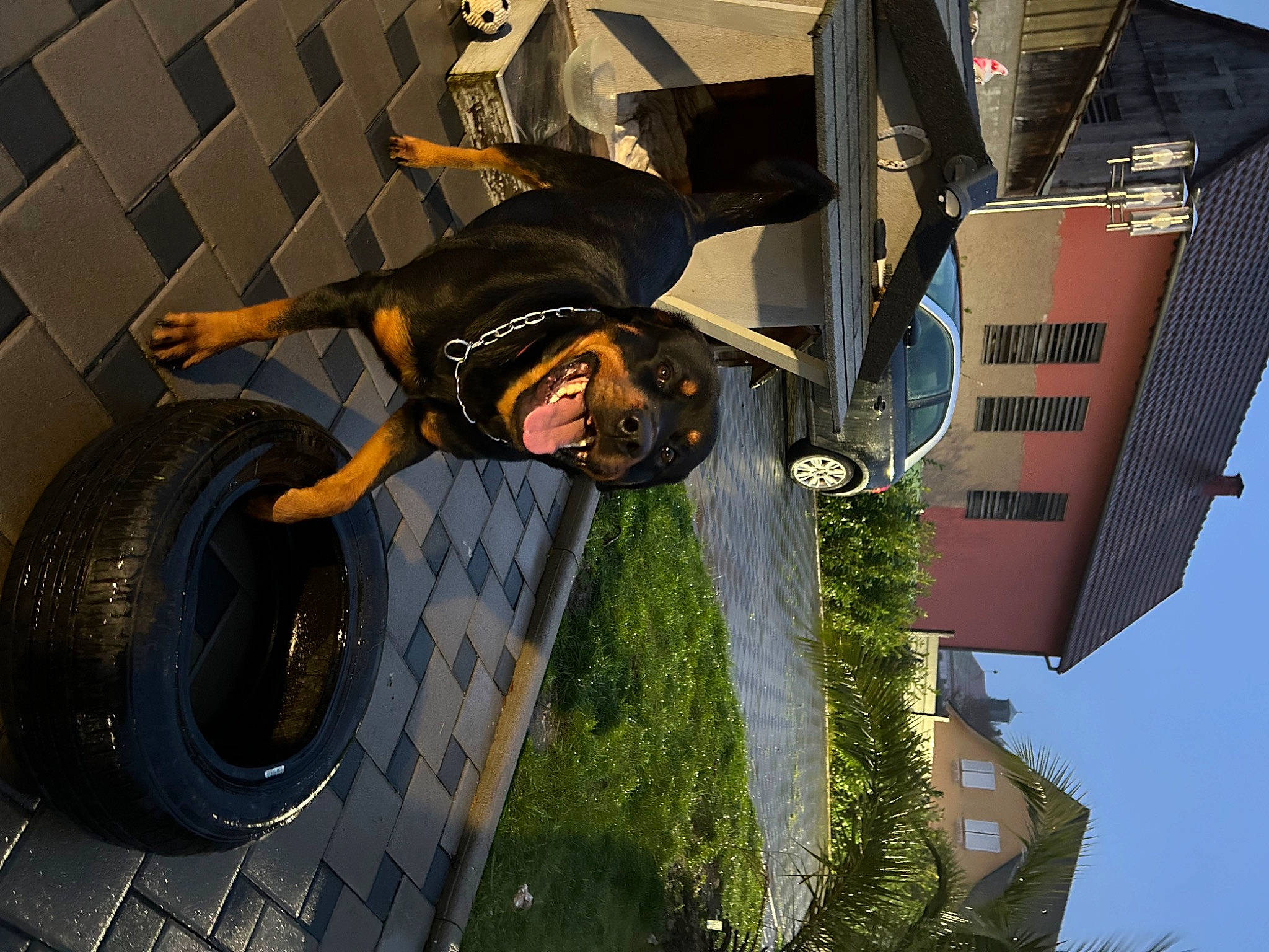 Reis participe au concours pour gagner de l'argent avec cette photo : adventure, auto_part, automotive_design, automotive_tire, automotive_wheel_system, circle, flash_photography, hat, helmet, metal, recreation, rim, rolling, sky, street_stunts, stunt_performer, tire, tread, tree, wheel