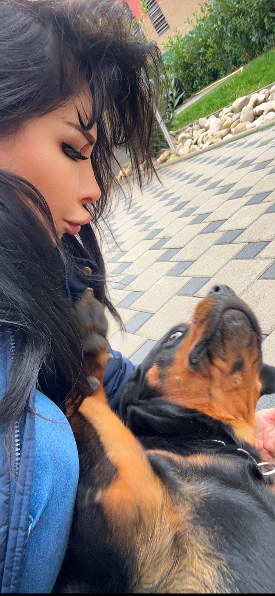 Reis participe au concours pour gagner de l'argent avec cette photo : bangs, black_hair, canidae, carnivore, companion_dog, dog, dog_breed, eyelash, fawn, fun, fur, grass, guard_dog, happy, leisure, mammal, plant, sitting, snout, sporting_group