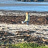 Dawson is registered to the contest to win money with this photo: beach, child, coast, daylight, footwear, grass, jacket, jeans, nature, ocean, outdoor, person, play, rocks, sand, scenery, seaweed, shore, sky, water