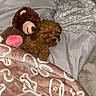 puppy, dog, teddy_bear, stuffed_animal, bed, blanket, pillow, bedding, sleeping, curly_fur, brown_dog, small_dog, cozy, indoors, bedroom, cuddling, patterned_blanket, soft_toy, resting, pet