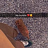 puppy, dog, curly_coat, small_dog, brown_dog, pet, animal, gravel, outdoor, ground, person, legs, pants, sneaker, shoe, looking_up, portrait, social_media, text_overlay, daylight