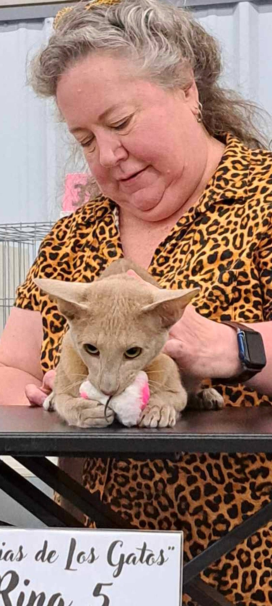 Michele'S Magical Mischief