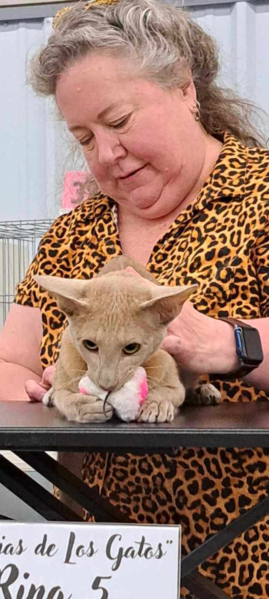 Michele'S Magical Mischief