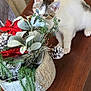 background, cat, christmas_tree, curious, decor, feline, festive, floral_arrangement, frosted, greenery, heterochromia, holiday_decoration, indoor, kitten, pet, pine_cone, plant, poinsettia, table, wooden_surface