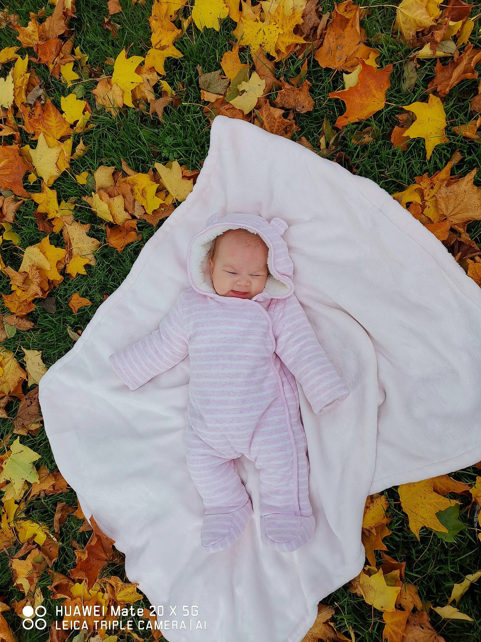Miriam is registered to the contest to win money with this photo: autumn, baby, child, leaf, person, plant, product, toddler