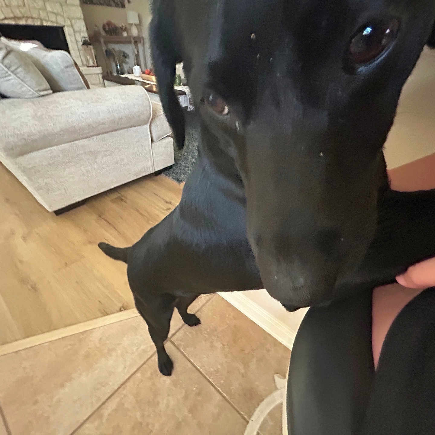 Sophie