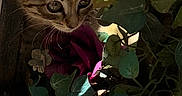Nova is registered to the contest to win money with this photo: kitten, cat, tabby, flower, plant, leaves, wood, sunlight, shadow, outdoor, nature, pet, young_animal, curious, closeup, adorable, small, feline, greenery, colorful