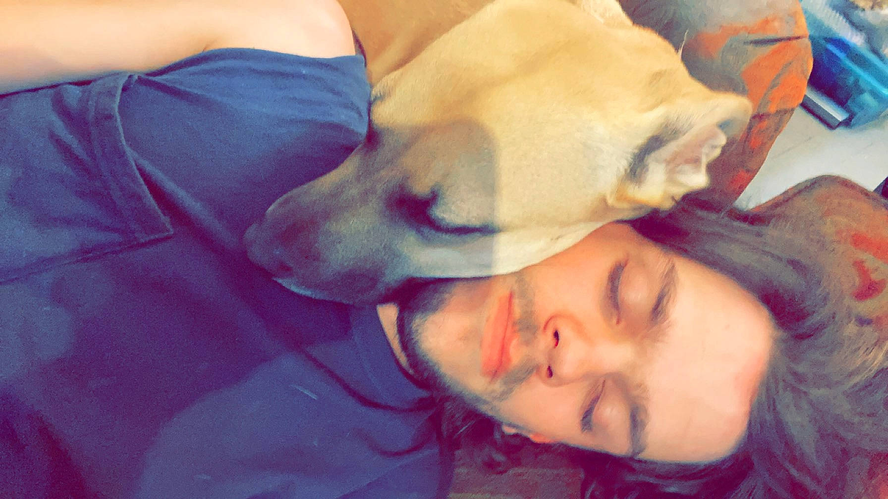 Klondike joined the competition — help win amazing prizes! abdomen, carnivore, chest, child, comfort, companion_dog, dog, dog_breed, electric_blue, eyelash, fawn, fun, fur, gesture, happy, hat, jaw, mouth, nose, trunk