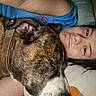 dog, person, bed, pillow, blanket, snuggling, closeup, indoor, sleepy, resting, brindle, collar, casual_clothing, human_face, pet, companion, comfort, relaxation, portrait, cuddle