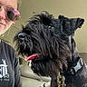 Johnny Cash is registered to the contest to win money with this photo: dog, black_dog, scruffy_dog, beard, tongue_out, harness, leash, collar, pet, person, sunglasses, portrait, close_up, indoor, car_interior, seated, black_fur, shaggy_fur, animal_companion, funny_pose