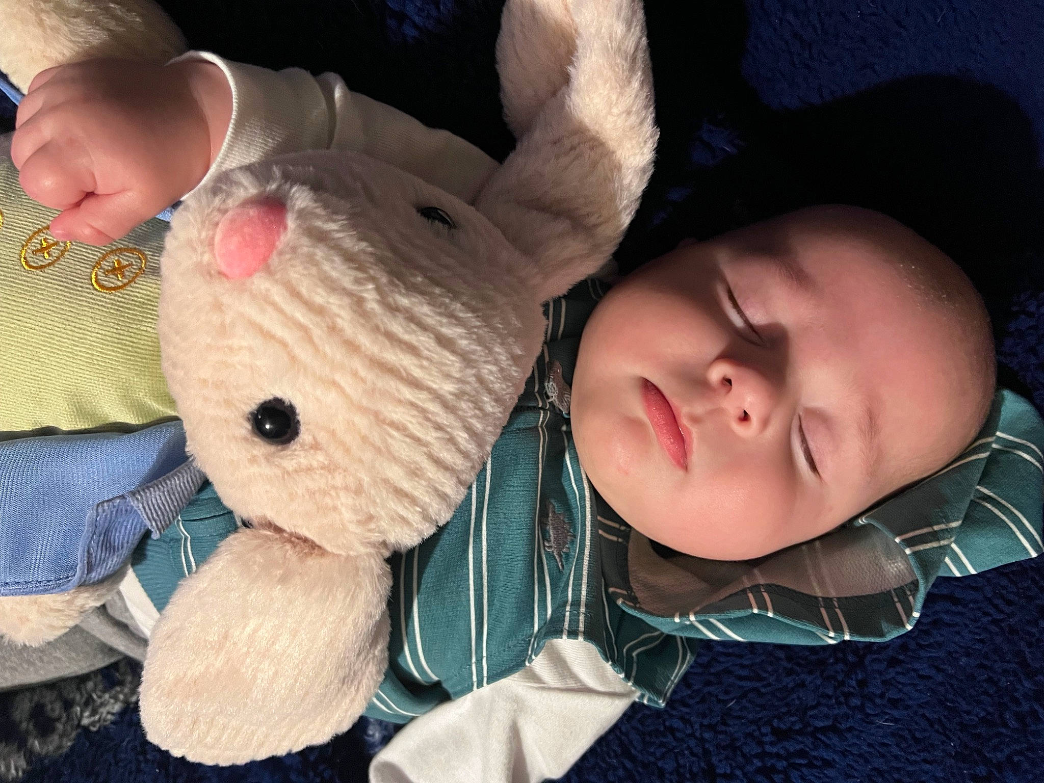 Jacob joined the competition — help win amazing prizes! baby, baby_products, baby_toddler_clothing, cheek, child, comfort, hand, head, mammal, nose, person, plush, sitting, skin, stuffed_toy, textile, toddler, toy, vertebrate, wool