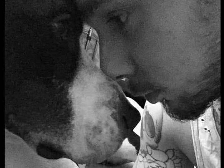 Bipo participe au concours pour gagner de l'argent avec cette photo : black_and_white, chest, dog, dog_breed, ear, eyelash, eyewear, fur, gesture, happy, jaw, kiss, monochrome, monochrome_photography, nose, sporting_group, stock_photography, style, trunk, whiskers