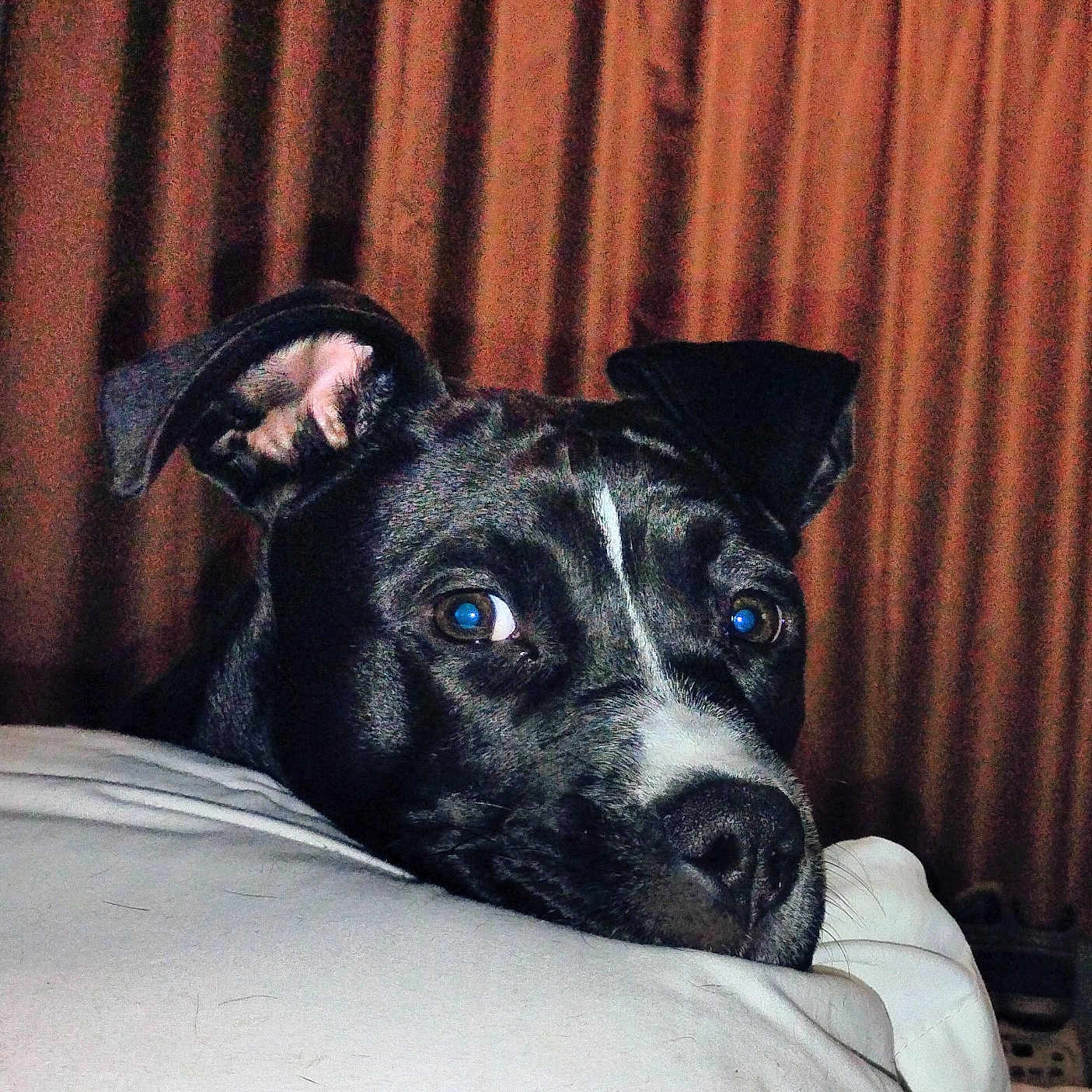 Freya