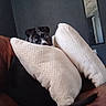 dog, black_dog, pillow, white_pillow, couch, brown_couch, indoor, mirror, wall, ceiling, pet, animal, furniture, hiding, peeking, cozy, home, living_room, relaxed, quiet