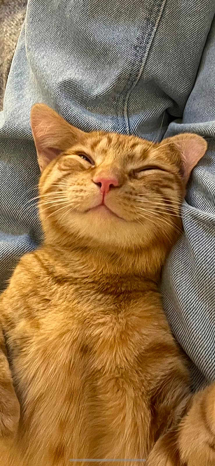 Prince