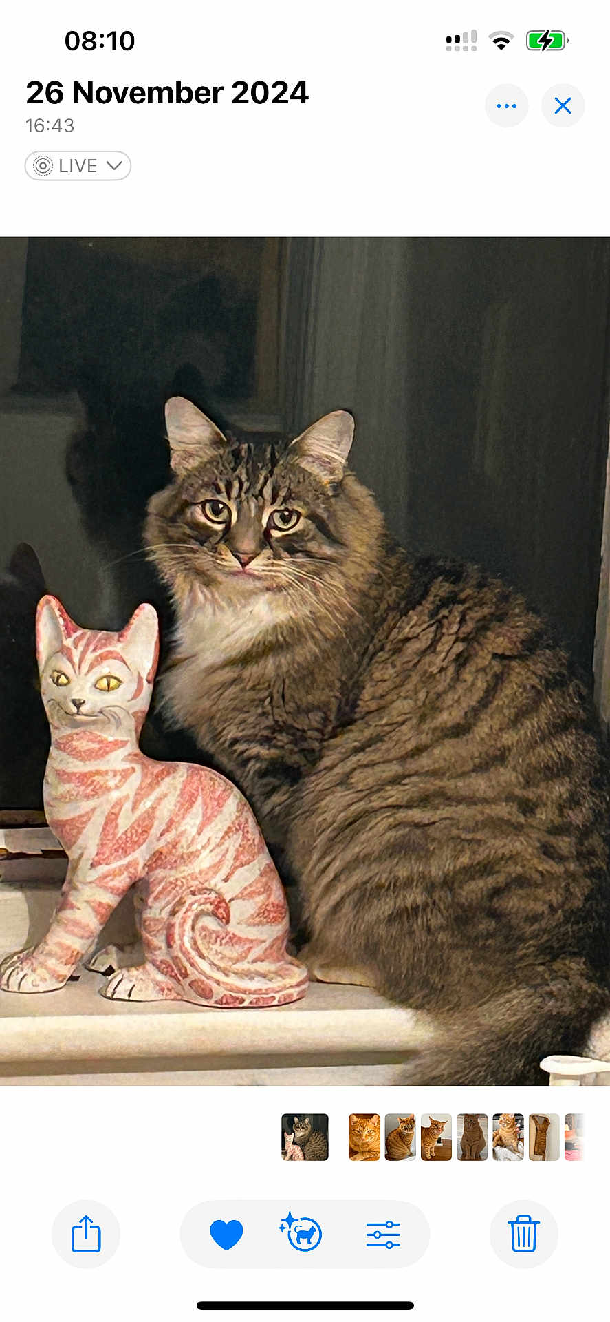 Stripy Cat is registered to the contest to win money with this photo: cat, tabby, ceramic_cat, statue, windowsill, indoor, pet, feline, striped, fur, animal, portrait, cute, curious, sitting, decor, shadow, closeup, domestic_cat, eyes