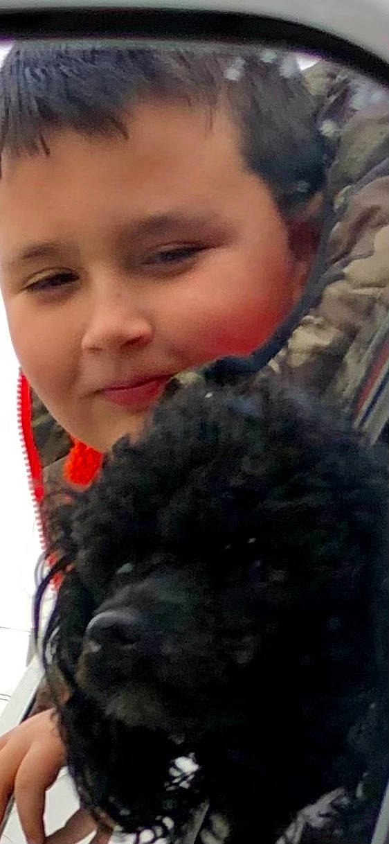 Bella is registered to the contest to win money with this photo: black_hair, canidae, carnivore, companion_dog, dog, dog_breed, ear, fur, hairstyle, happy, mammal, non_sporting_group, nose, poodle, skin, sporting_group, toy_dog, working_animal