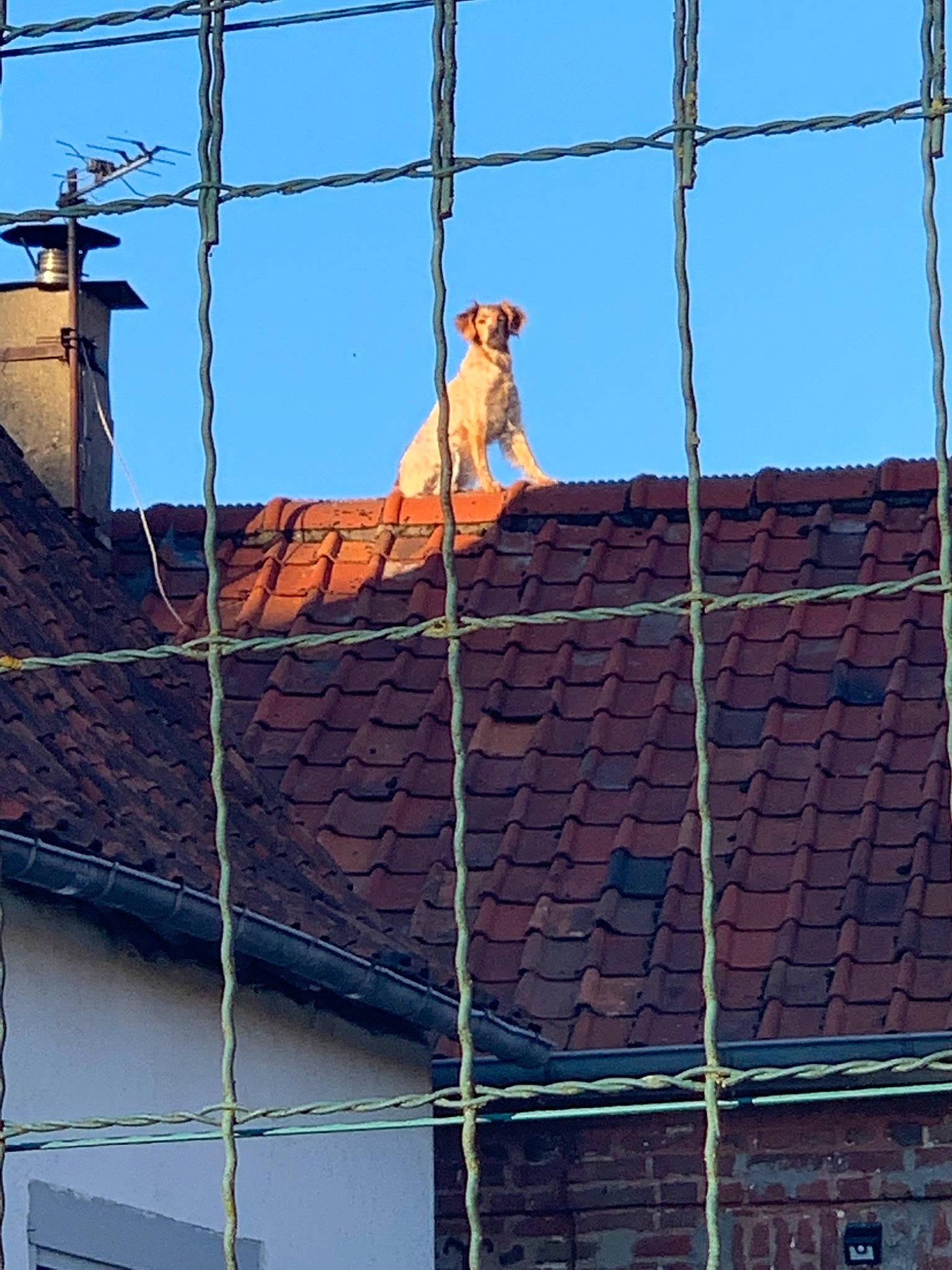 Irka participe au concours pour gagner de l'argent avec cette photo : architecture, brickwork, chain_link_fencing, roof, wire