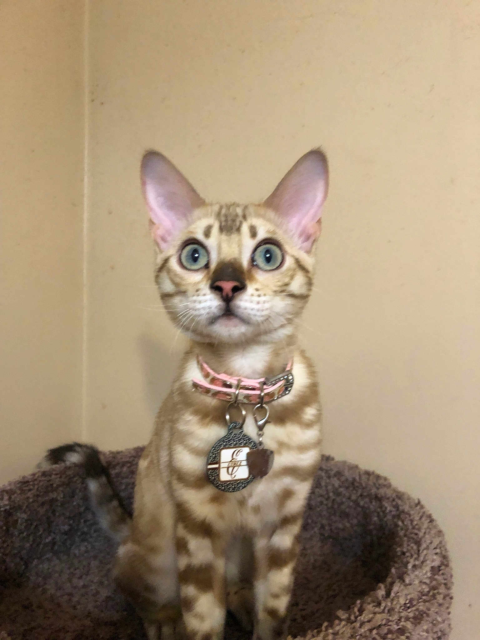 Ethel