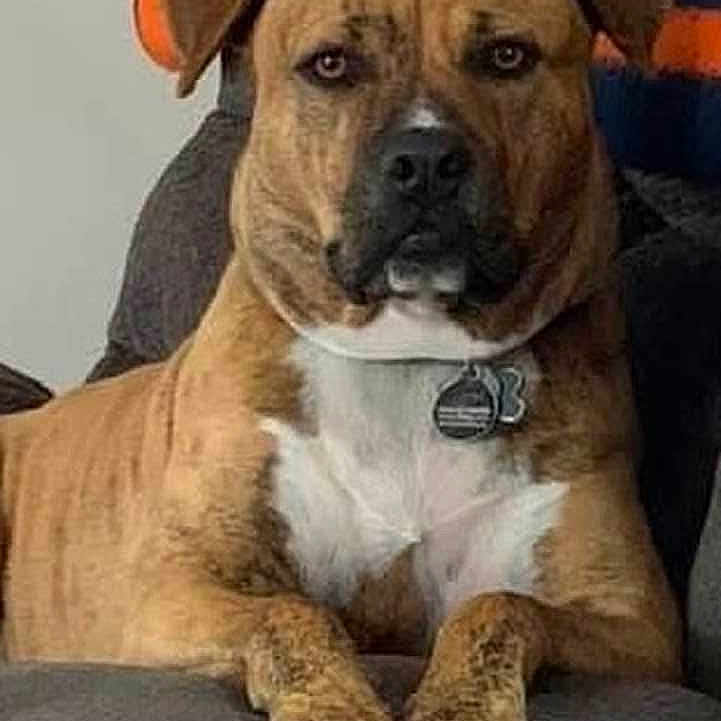 Murphy