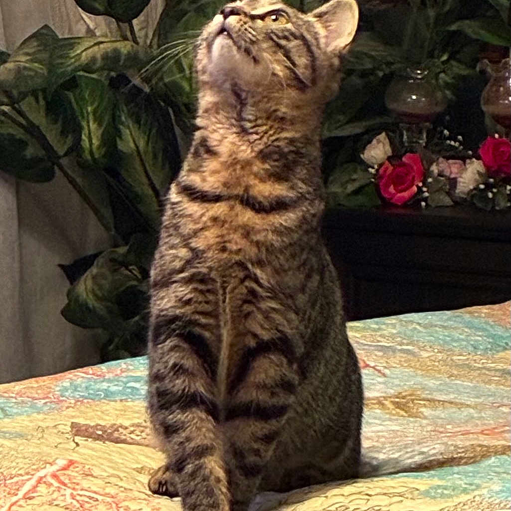 Ruby