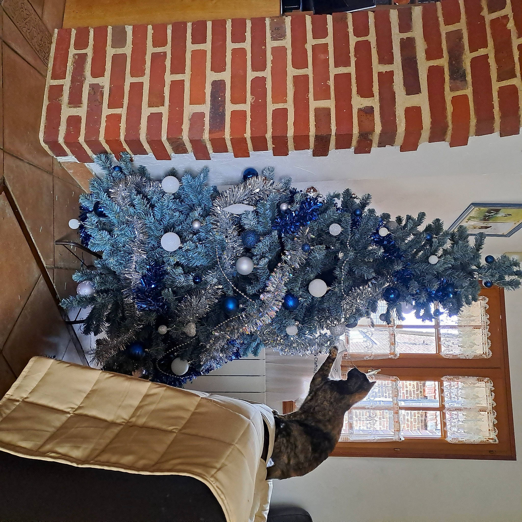 Shanou participe au concours pour gagner de l'argent avec cette photo : art, christmas_decoration, christmas_ornament, design, electric_blue, event, fashion_accessory, interior_design, light, lighting, line, material_property, ornament, plant, rectangle, textile, tree, twig, window, wood