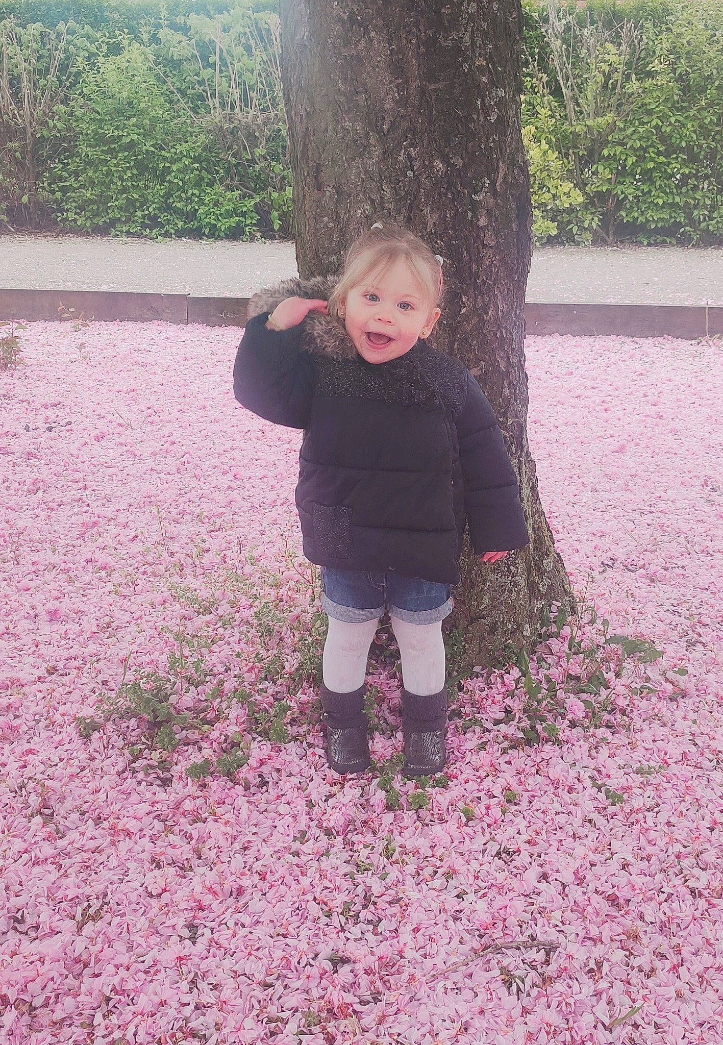 Eve participe au concours pour gagner de l'argent avec cette photo : child, grass, leaf, person, plant, smile, standing, toddler, tree, winter