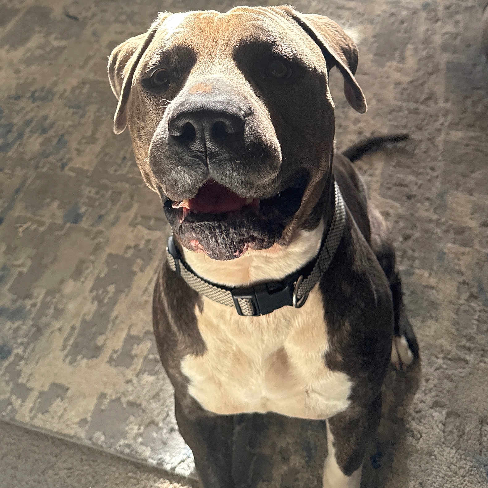 Gus