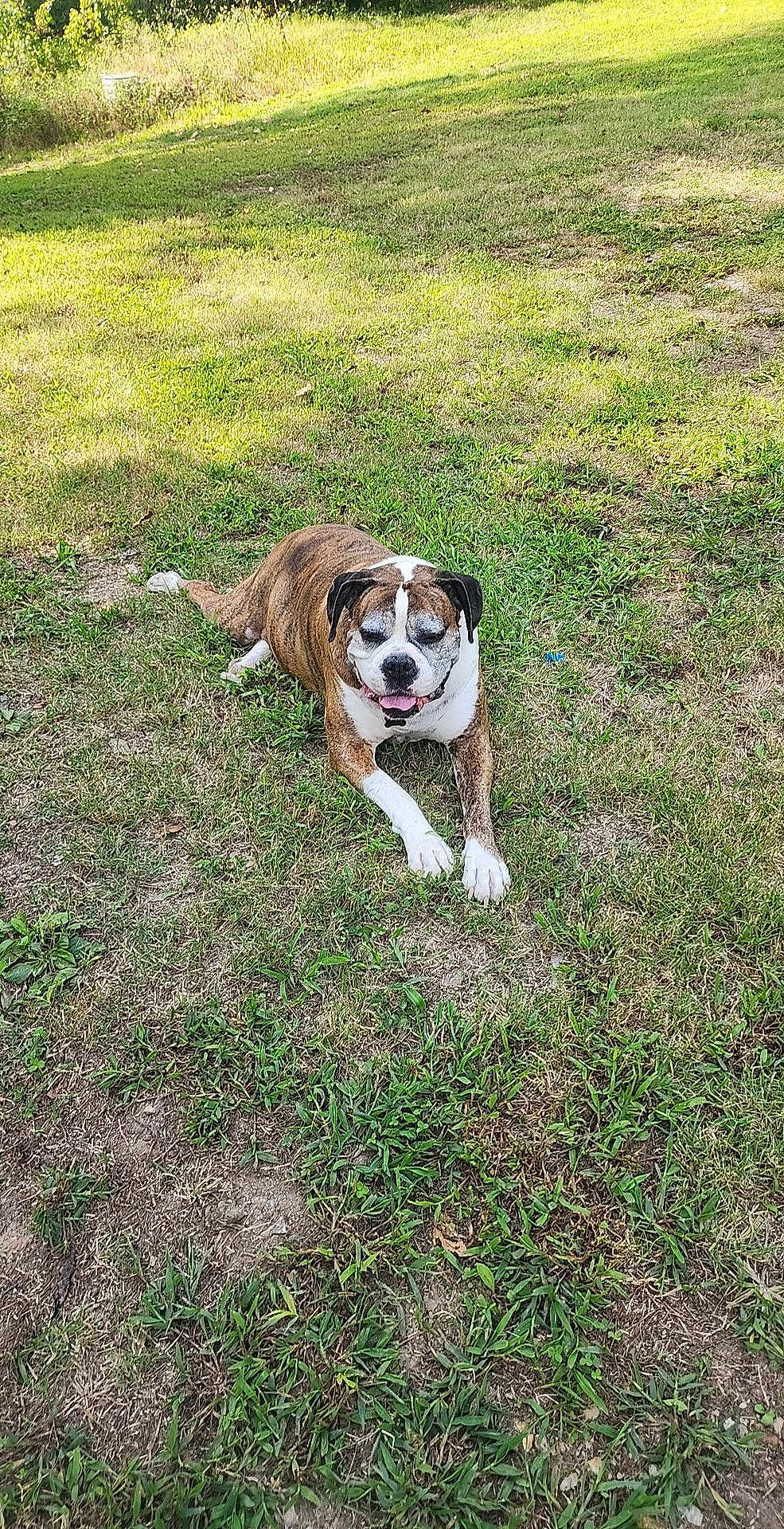 Sampson