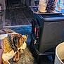Sampson joined the competition — help win amazing prizes! dog, small_dog, large_dog, indoor, carpet, stove, fireplace, warmth, home, decor, pinecone, candle, pet, animal, cozy, fur, collar, relaxing, floor, curtain