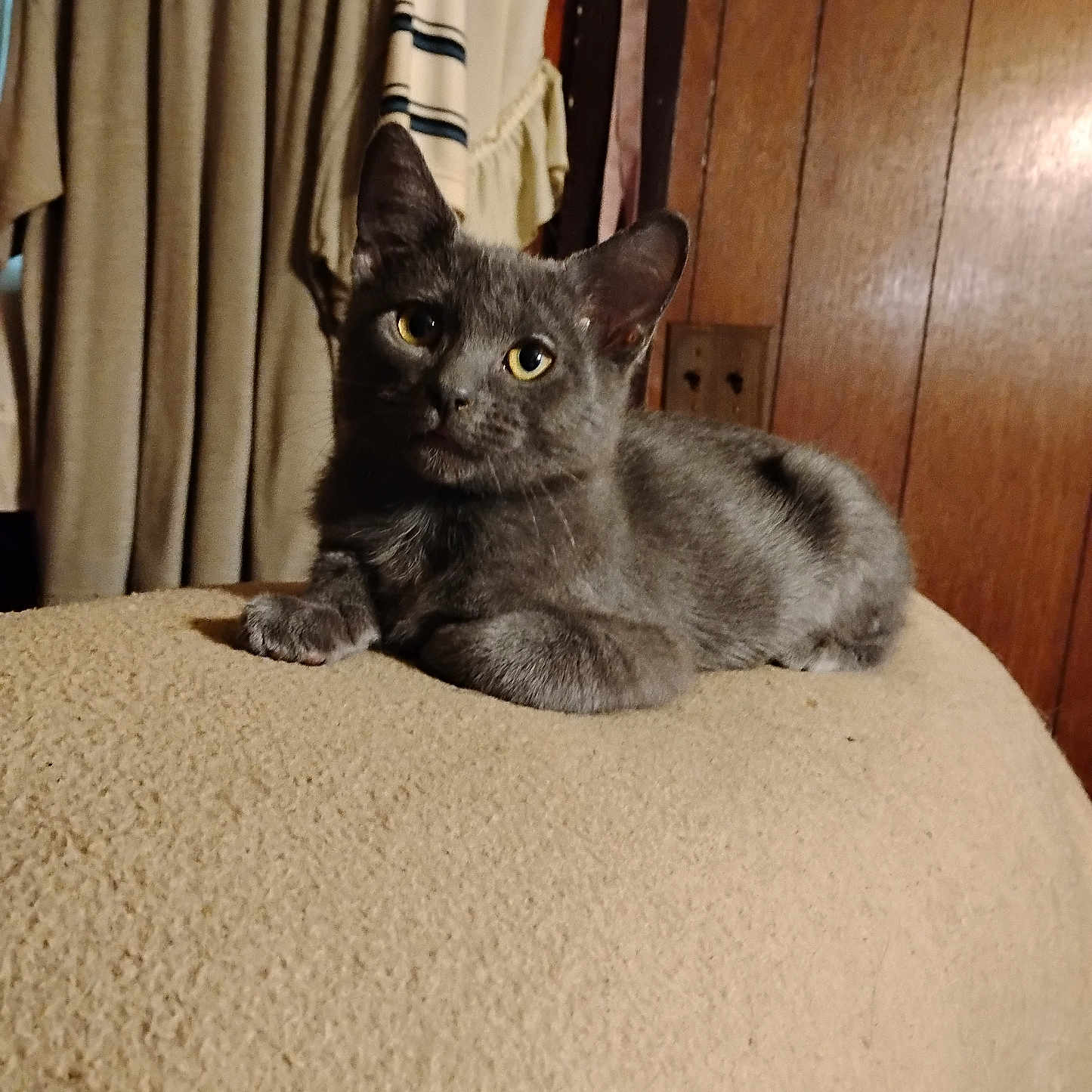 Smokey
