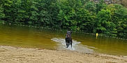 Valérie participe au concours pour gagner de l'argent avec cette photo : dog, black_dog, water, river, splashing, beach, sand, trees, forest, hill, rocks, outdoor, nature, animal, happy, playful, running, daytime, landscape, recreation