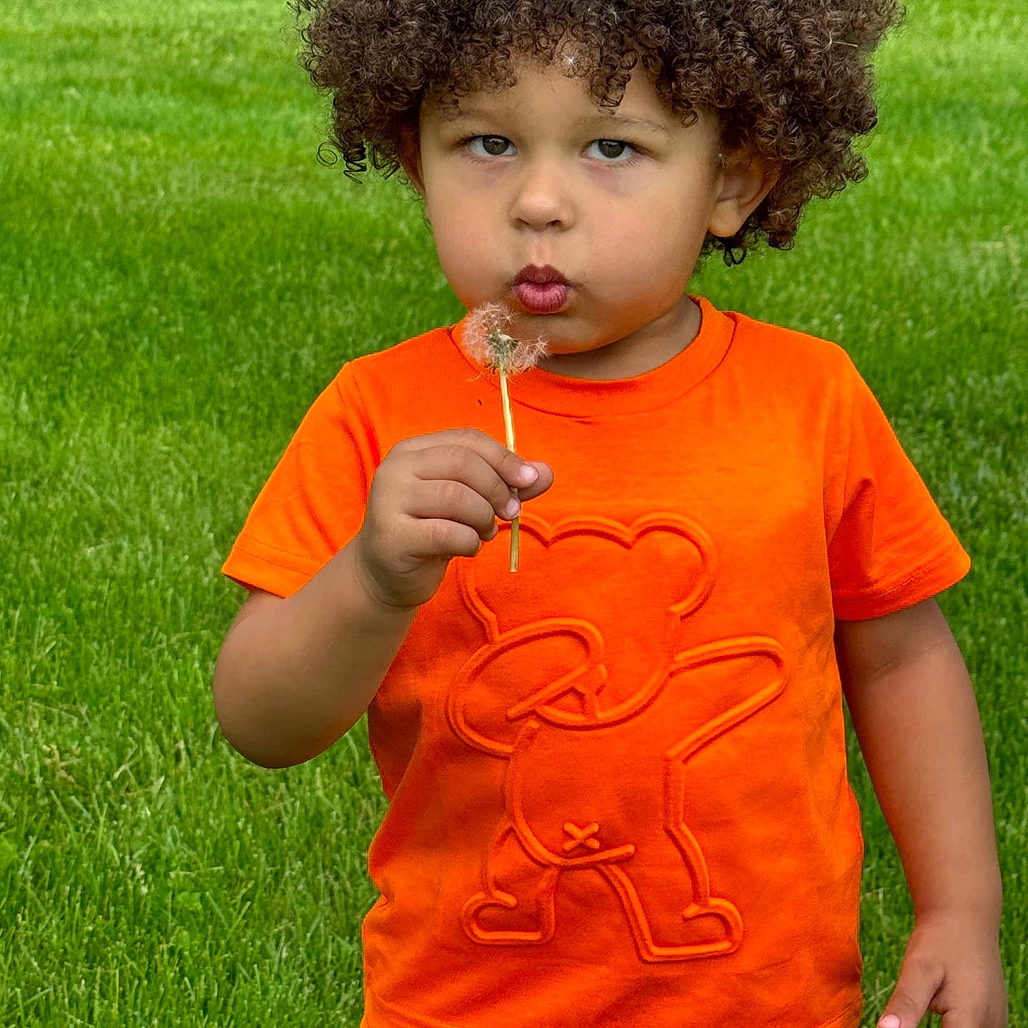 Tristen is registered to the contest to win money with this photo: bodypart, boy, candy, child, clothing, face, finger, food, grass, hand, head, lawn, male, person, photography, plant, portrait, summer, sweets, t_shirt