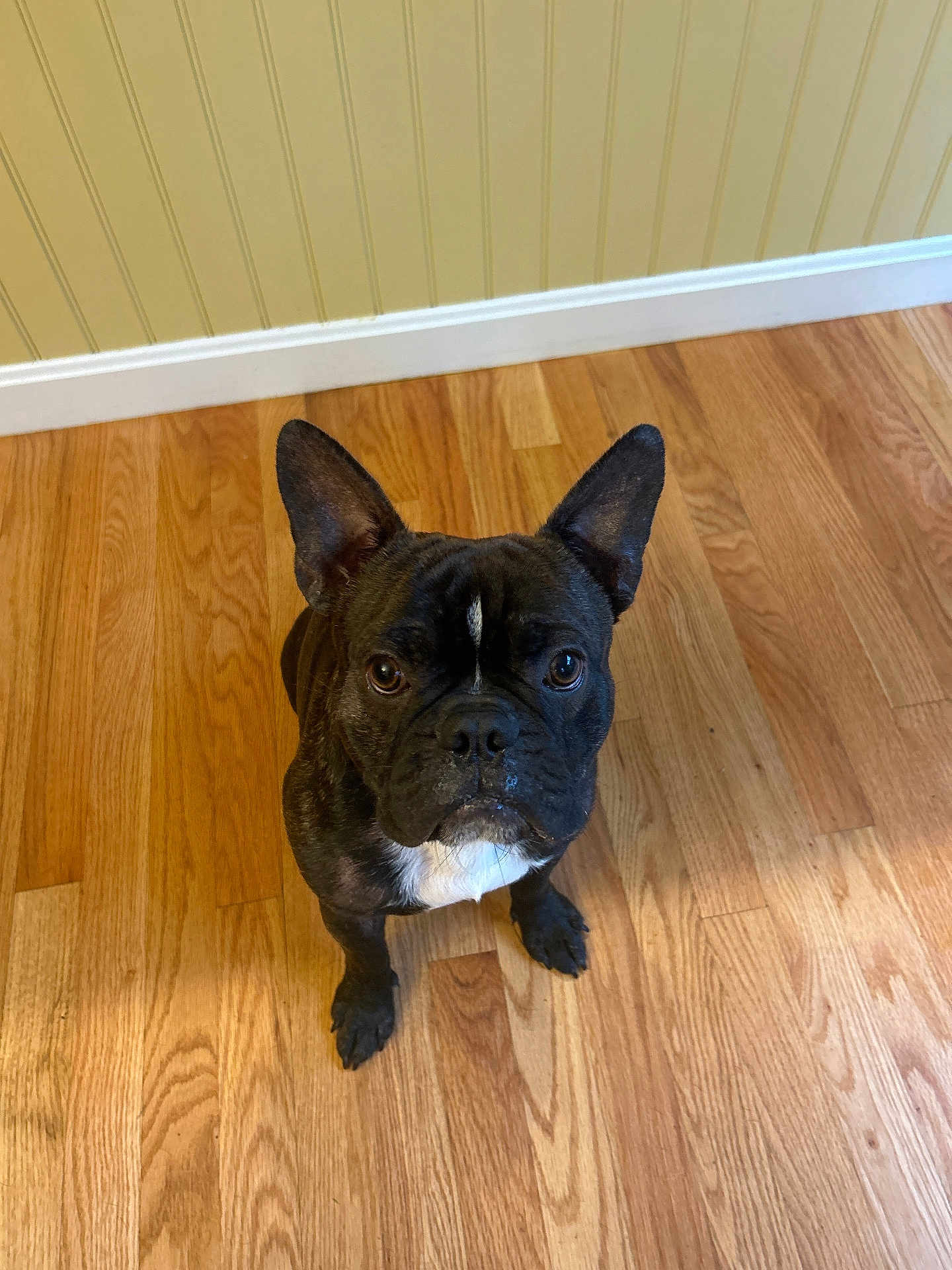 Tucker