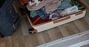 Rio a rejoint le concours — aidez-le/la à gagner de superbes lots ! cat, suitcase, clothes, indoor, floor, wood_floor, door, bag, resting, sleeping, pet, home, luggage, folded_clothes, fabric, domestic, quiet, relaxed, cozy, casual