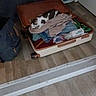 cat, suitcase, clothes, indoor, floor, wood_floor, door, bag, resting, sleeping, pet, home, luggage, folded_clothes, fabric, domestic, quiet, relaxed, cozy, casual