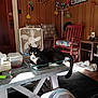Buddy Tyson Sawyer joined the competition — help win amazing prizes! box_fan, carpet, cat, chair, colorful_cushion, container, decor, domestic_animal, floor_lamp, furniture, glass_baking_dish, home_interior, indoor, pet, relaxing, table, tissue_box, tuxedo_cat, wood_paneling, wooden_floor