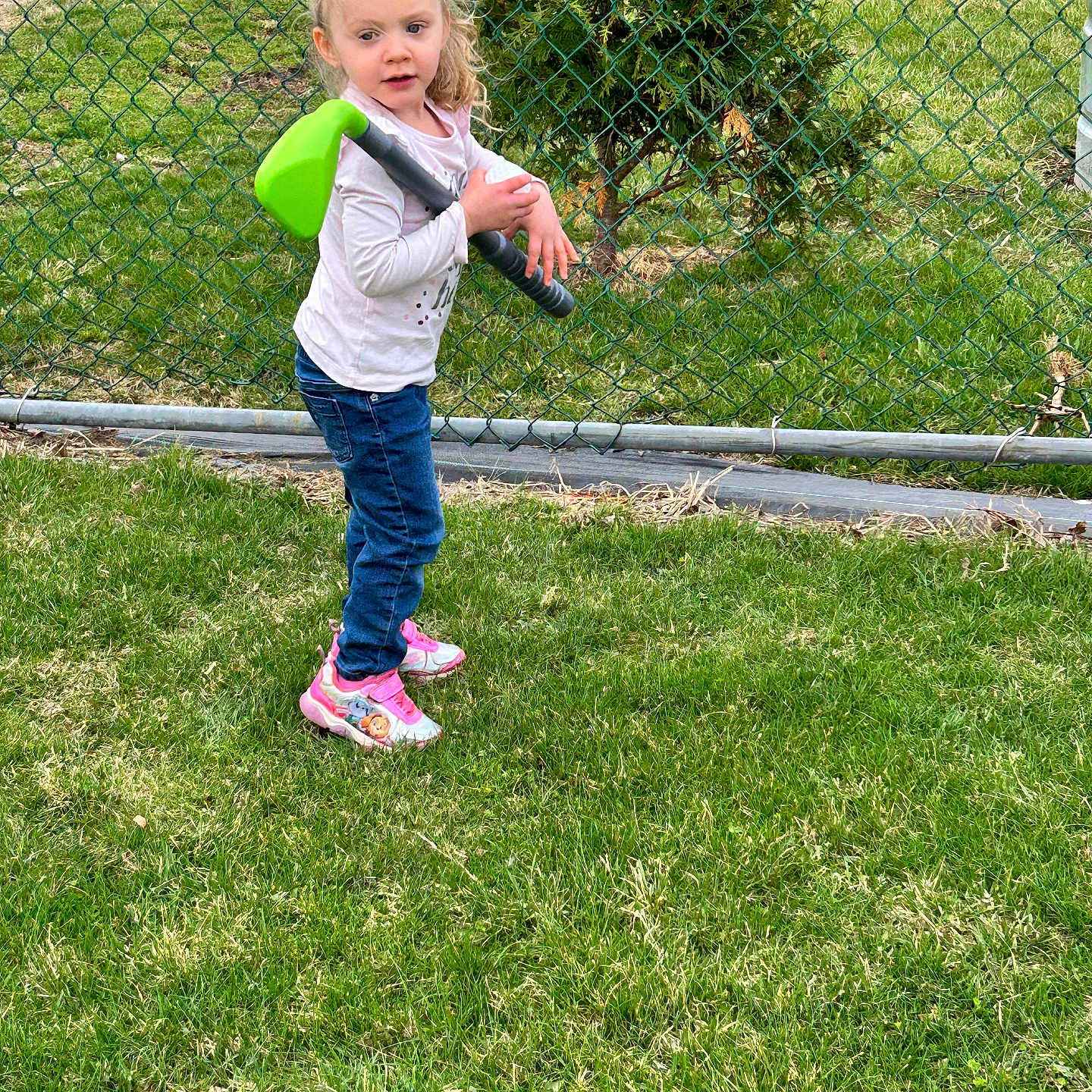 Gennevieve is registered to the contest to win money with this photo: backyard, casual_clothing, chainlink_fence, child, curious, daylight, girl, grass, hair_tied, jeans, lawn, long_sleeve_shirt, outdoor, pink_shoes, playing, portrait, sneakers, toy_golf_club, tree, young_child