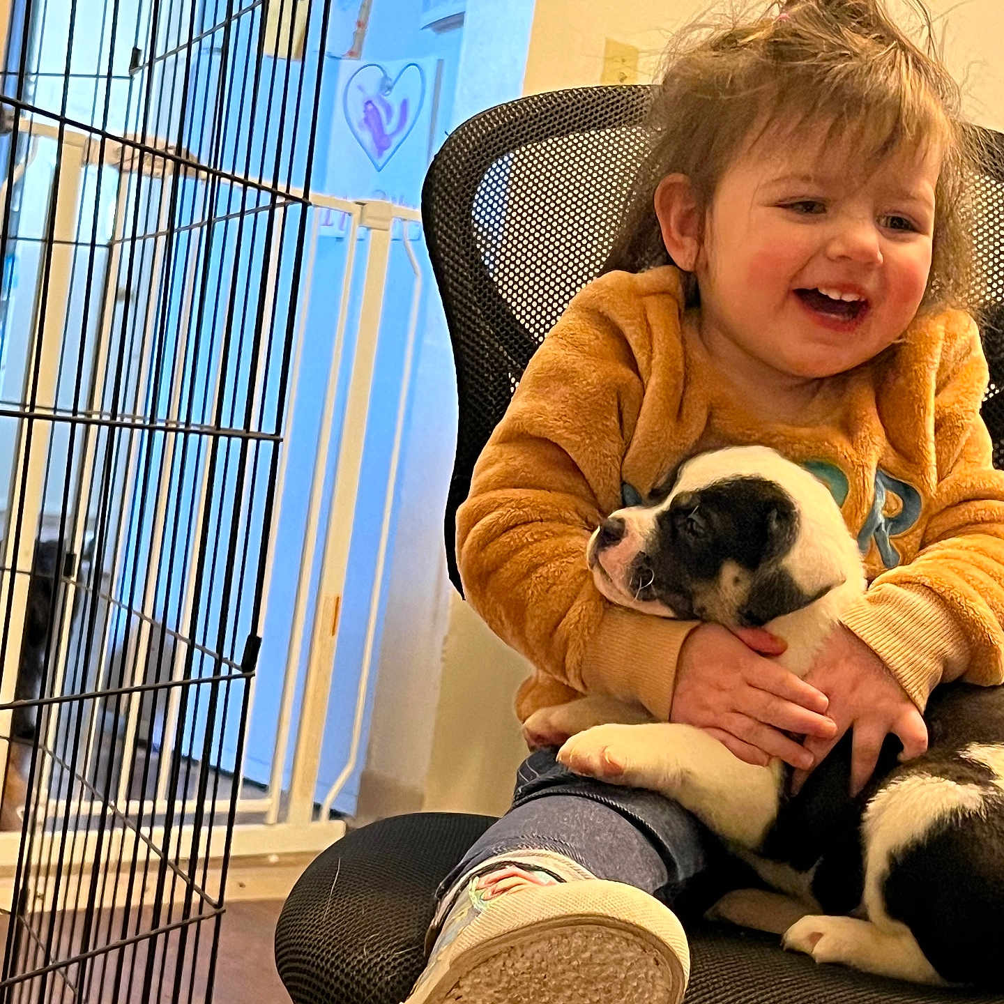 Oaklinn is registered to the contest to win money with this photo: animal, baby, bulldog, canine, clothing, den, dog, face, footwear, happy, head, hound, indoors, pants, person, pet, photography, portrait, puppy, shoe