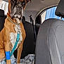 Gossip participe au concours pour gagner de l'argent avec cette photo : accessories, animal, belt, bostonbull, boxer, bulldog, canine, car, car_interior, carseat, cushion, dog, headrest, homedecor, hound, pet, puppy, sunglasses, transportation, vehicle