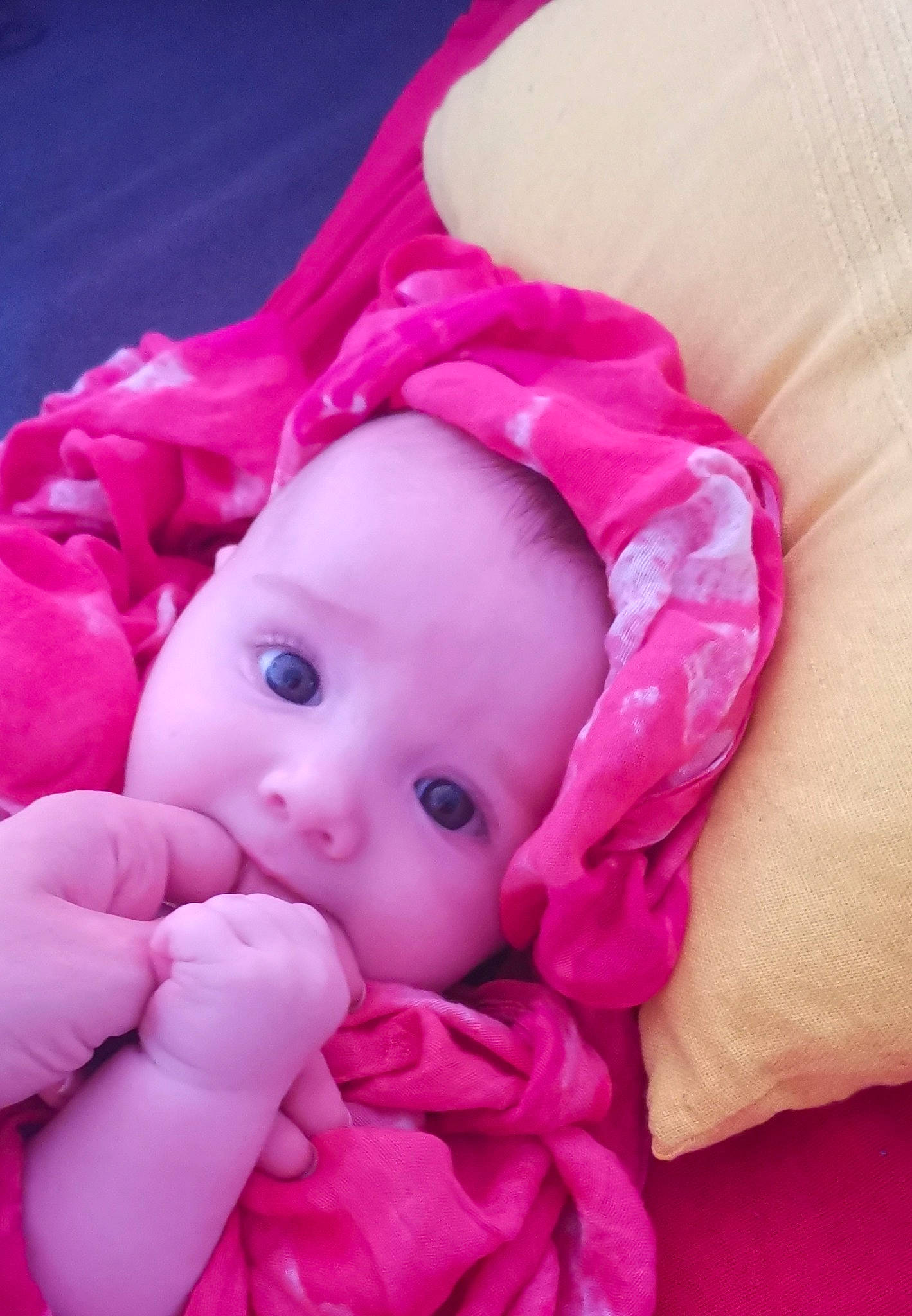 Lowen a rejoint le concours — aidez-le/la à gagner de superbes lots ! baby, cheek, child, face, hand, head, headwear, lip, magenta, mouth, person, pink, skin, stuffed_toy, toddler, toy