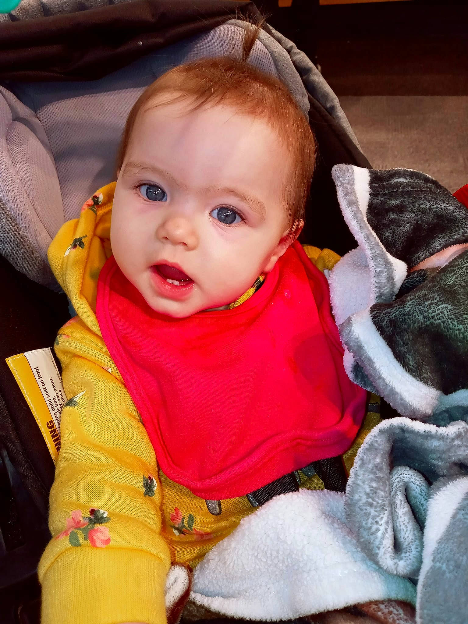 Gianna joined the competition — help win amazing prizes! baby, baby_carriage, baby_products, baby_safety, baby_toddler_clothing, cheek, child, chin, comfort, eye, eyelash, face, happy, iris, lip, outerwear, person, product, sitting, skin