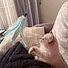Makya is registered to the contest to win money with this photo: kitten, cat, feather_toy, paw, blanket, couch, indoor, pet, furry, curious, playing, cozy, soft, whiskers, ears, side_view, animal, cute, domestic, relaxed