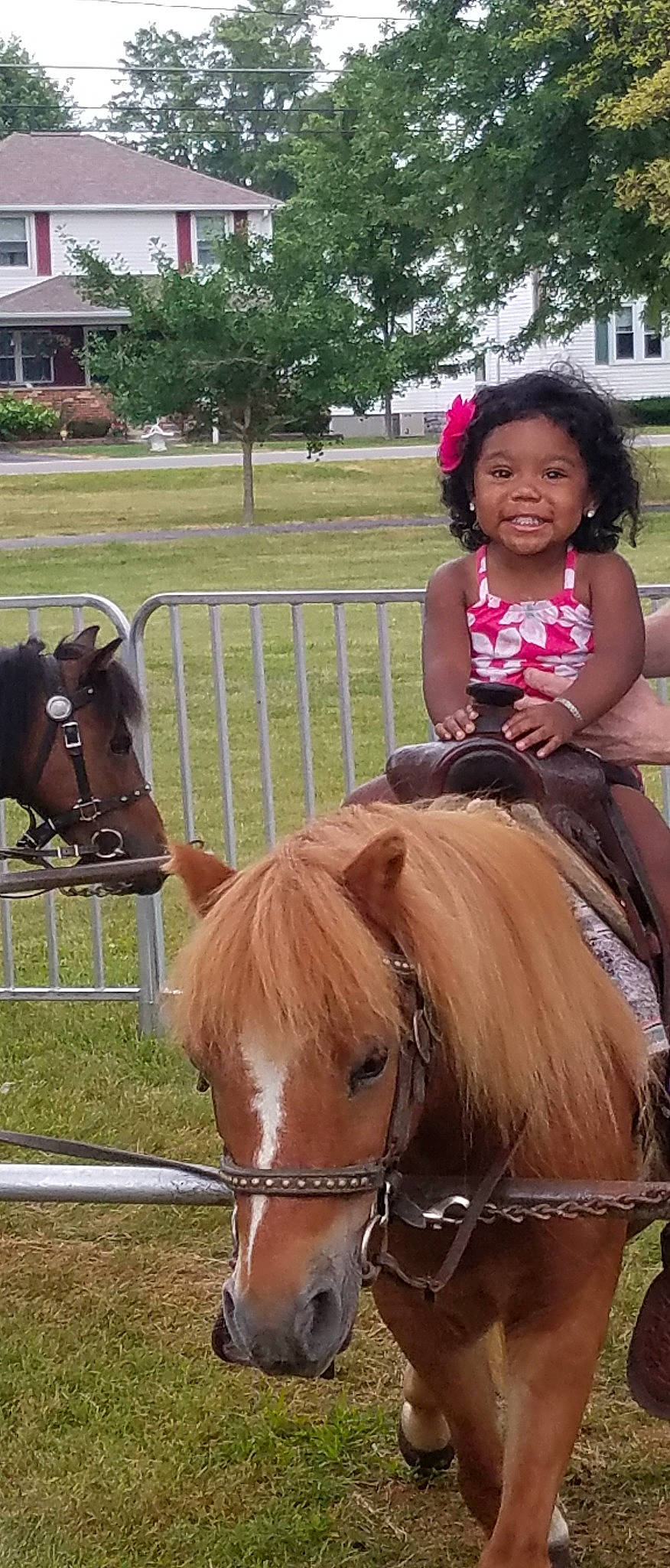 A'Madianna joined the competition — help win amazing prizes! bridle, child, equestrianism, grass, horse, horse_harness, horse_like_mammal, horse_supplies, horse_tack, joy, livestock, mane, mare, person, pony, rein, saddle, stallion, tree, vertebrate