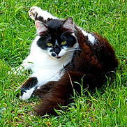 Clochette a rejoint le concours — aidez-le/la à gagner de superbes lots !